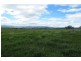 .. Warrah Subdivision Road, Willow Tree NSW 2339
