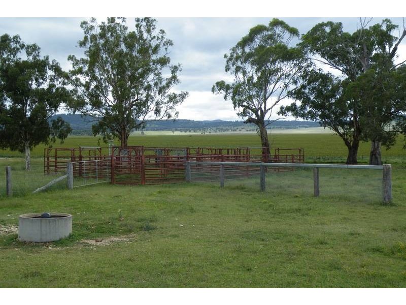 .. Warrah Subdivision Road, Willow Tree NSW 2339