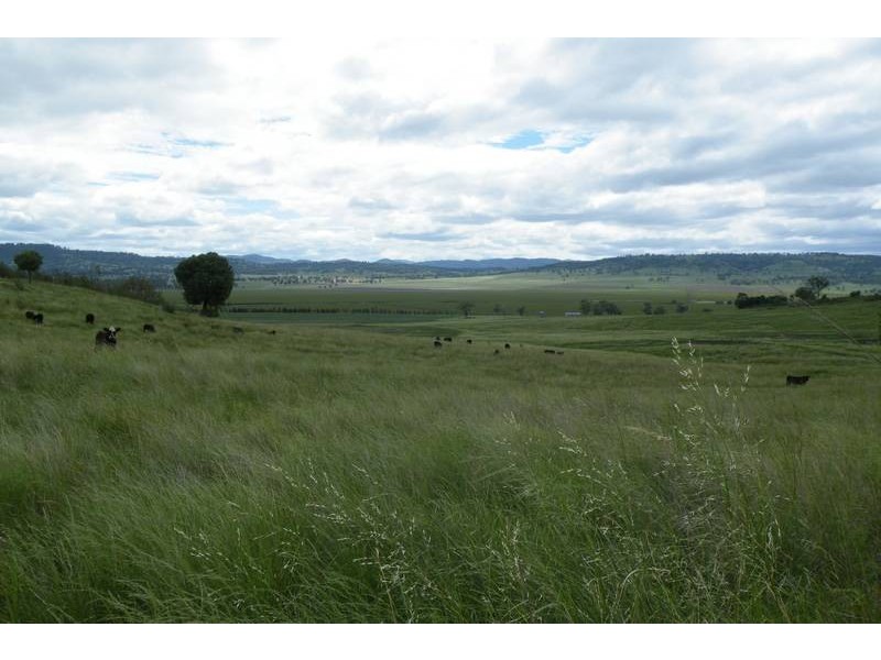 .. Warrah Subdivision Road, Willow Tree NSW 2339