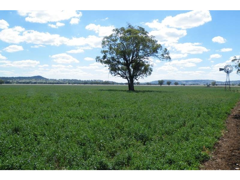 …. Swinging Ridges Road, Willow Tree NSW 2339