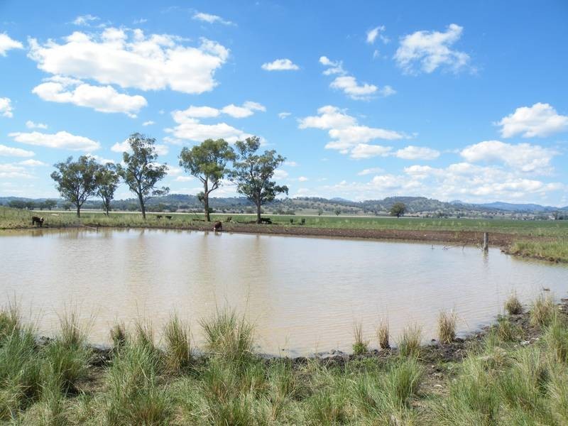 …. Swinging Ridges Road, Willow Tree NSW 2339