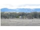 224 Share Farms Road, Willow Tree NSW 2339
