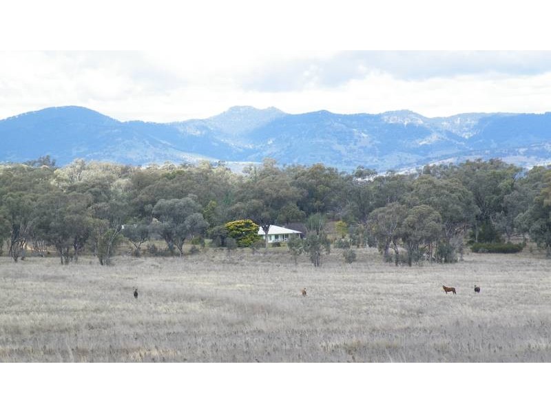 224 Share Farms Road, Willow Tree NSW 2339