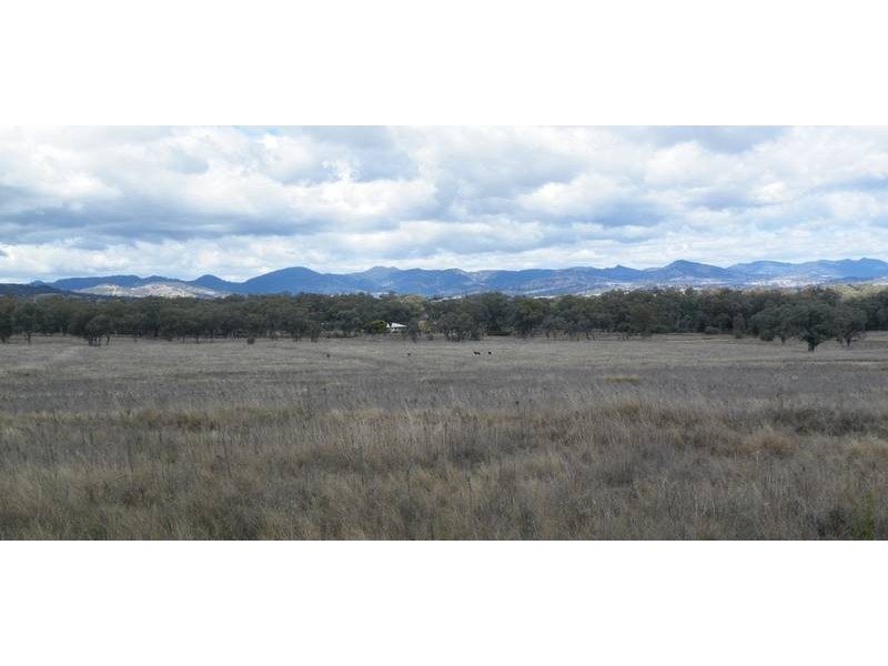 224 Share Farms Road, Willow Tree NSW 2339