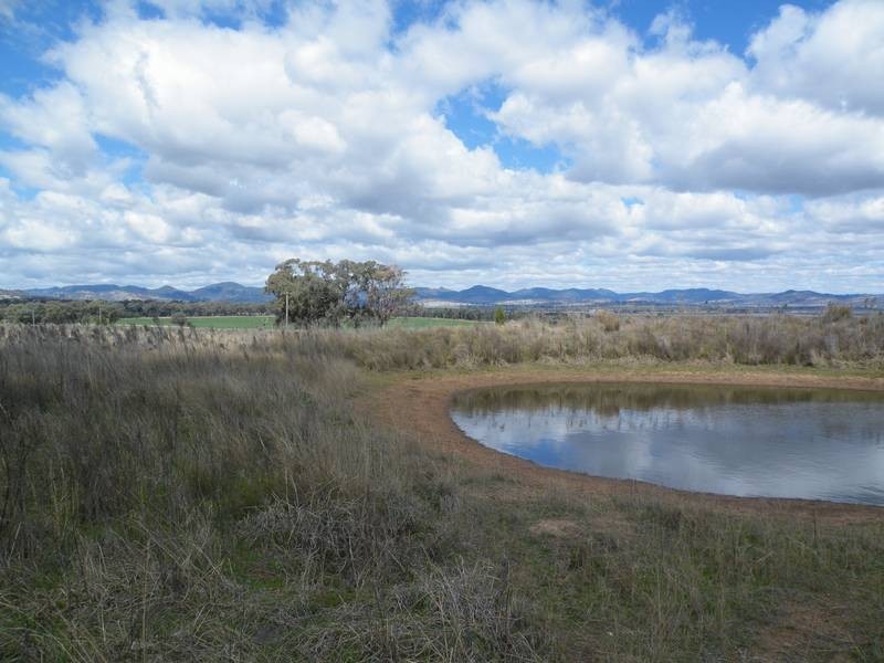 224 Share Farms Road, Willow Tree NSW 2339