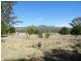701 Warrah Creek road, Willow Tree NSW 2339