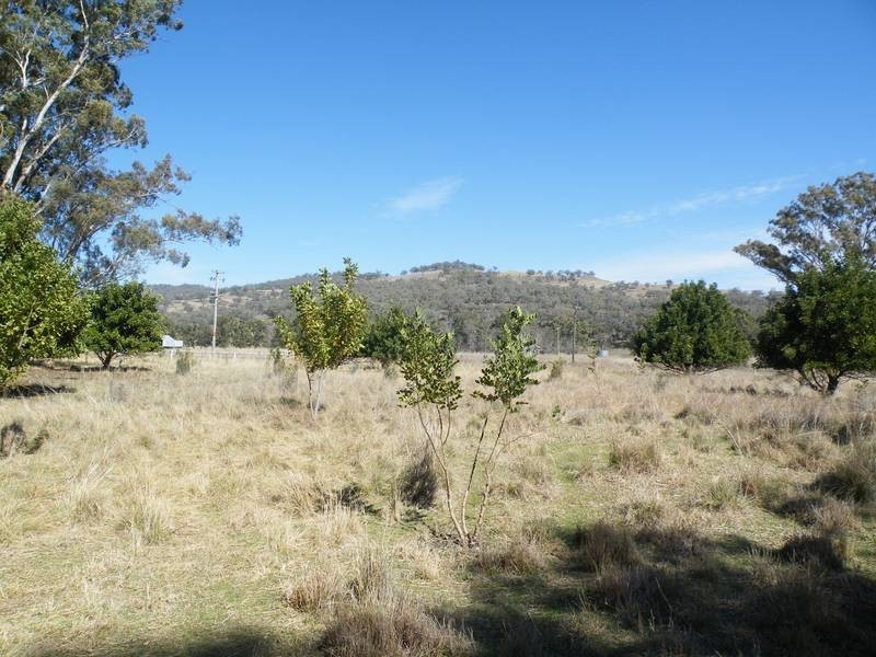 701 Warrah Creek road, Willow Tree NSW 2339