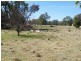 701 Warrah Creek road, Willow Tree NSW 2339