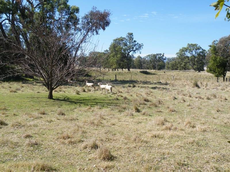 701 Warrah Creek road, Willow Tree NSW 2339