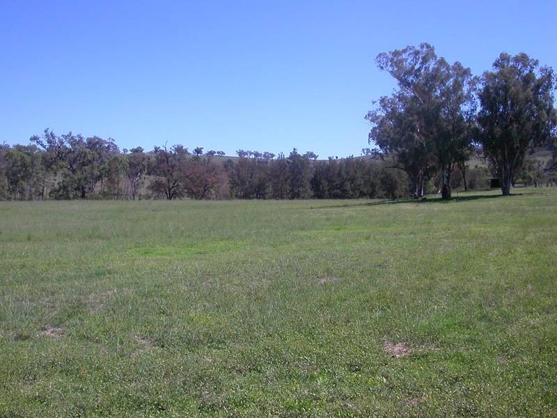 411 Lowes Creek Road, Quirindi NSW 2343