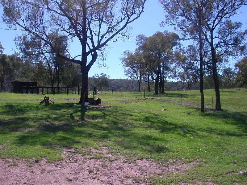 411 Lowes Creek Road, Quirindi NSW 2343