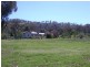411 Lowes Creek Road, Quirindi NSW 2343