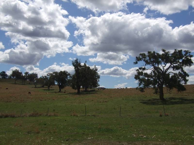 443 Lindsays Gap Road, Wallabadah NSW 2343