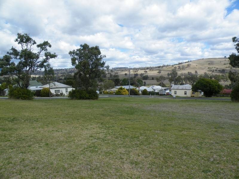 22 Learmonth Street, Willow Tree NSW 2339