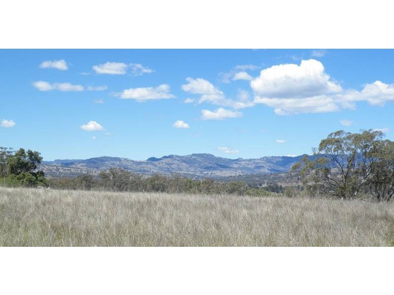 Lot 22 & 23, 1 Hall Street, Willow Tree NSW 2339