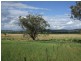 148 Warrah Creek Road, Willow Tree NSW 2339