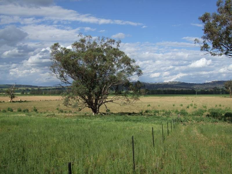 148 Warrah Creek Road, Willow Tree NSW 2339