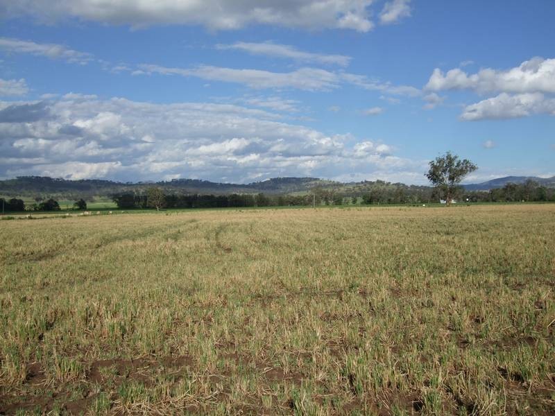 148 Warrah Creek Road, Willow Tree NSW 2339