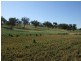 148 Warrah Creek Road, Willow Tree NSW 2339