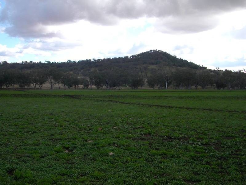 148 Warrah Creek Road, Willow Tree NSW 2339