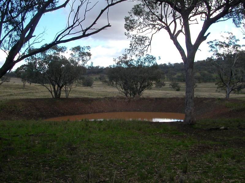 148 Warrah Creek Road, Willow Tree NSW 2339