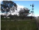 148 Warrah Creek Road, Willow Tree NSW 2339