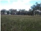 148 Warrah Creek Road, Willow Tree NSW 2339
