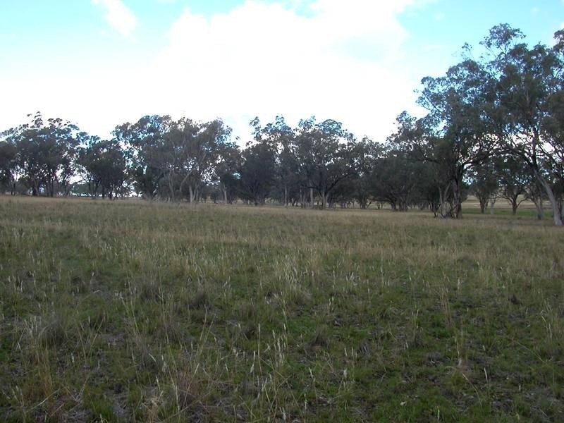 148 Warrah Creek Road, Willow Tree NSW 2339