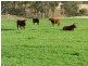 .. Fullers Lane, Wallabadah NSW 2343