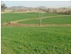 .. Fullers Lane, Wallabadah NSW 2343