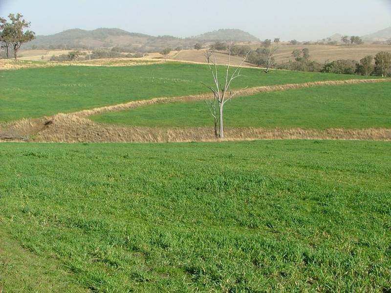 .. Fullers Lane, Wallabadah NSW 2343