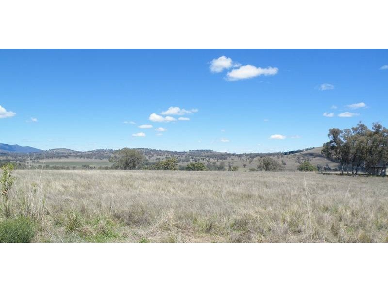 8 Raphie Howard Drive, Willow Tree NSW 2339