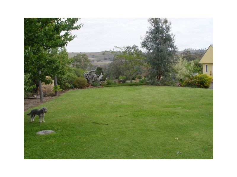 62 Learmonth Street, Willow Tree NSW 2339