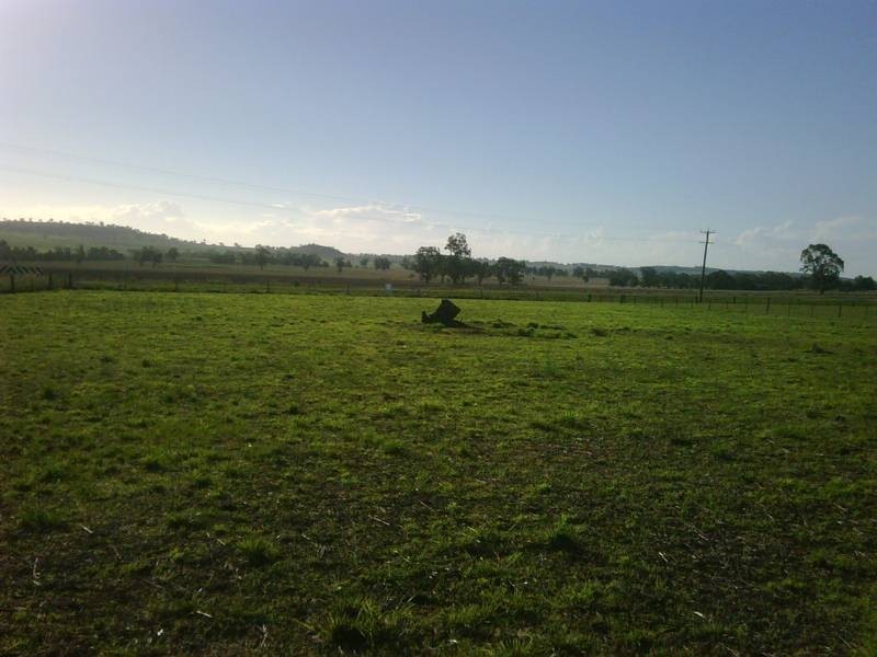 1 Sullings Lane, Quirindi NSW 2343