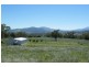 141 Borambil Creek Road, Willow Tree NSW 2339