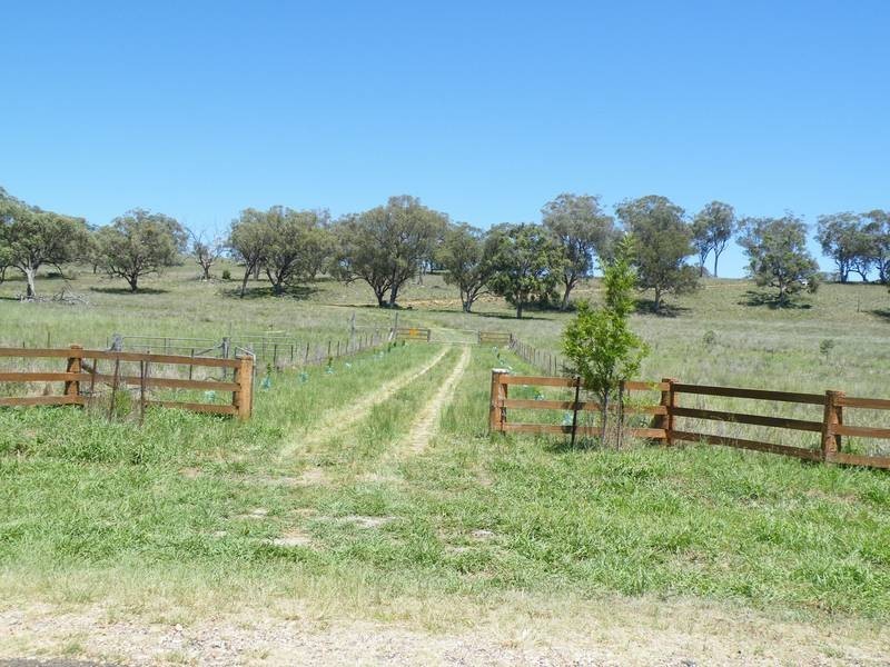 141 Borambil Creek Road, Willow Tree NSW 2339