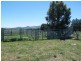 141 Borambil Creek Road, Willow Tree NSW 2339