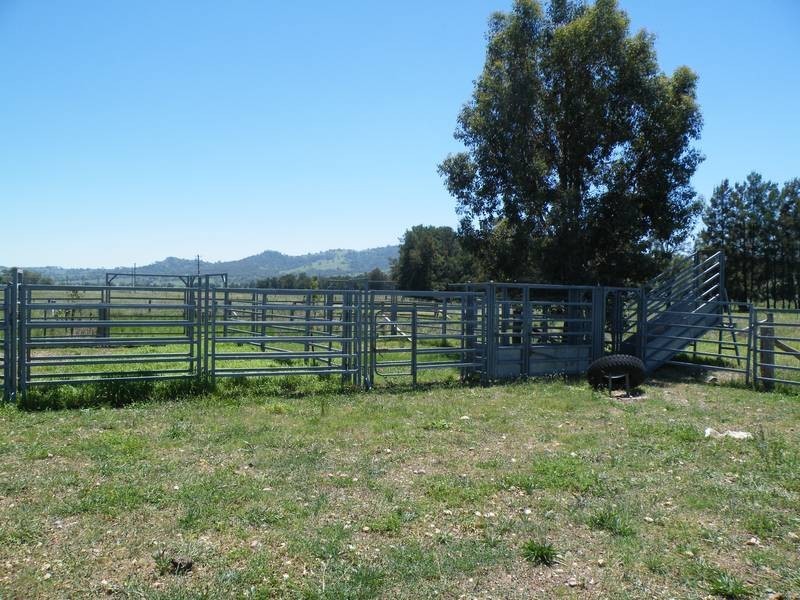 141 Borambil Creek Road, Willow Tree NSW 2339