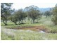 141 Borambil Creek Road, Willow Tree NSW 2339
