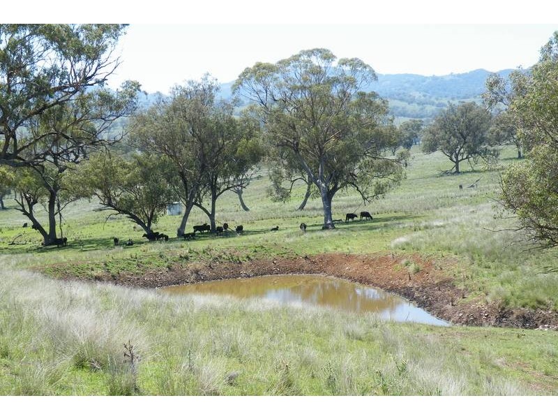 141 Borambil Creek Road, Willow Tree NSW 2339