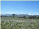 141 Borambil Creek Road, Willow Tree NSW 2339