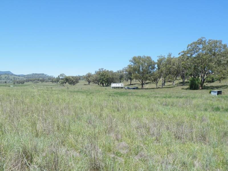 141 Borambil Creek Road, Willow Tree NSW 2339
