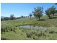 141 Borambil Creek Road, Willow Tree NSW 2339