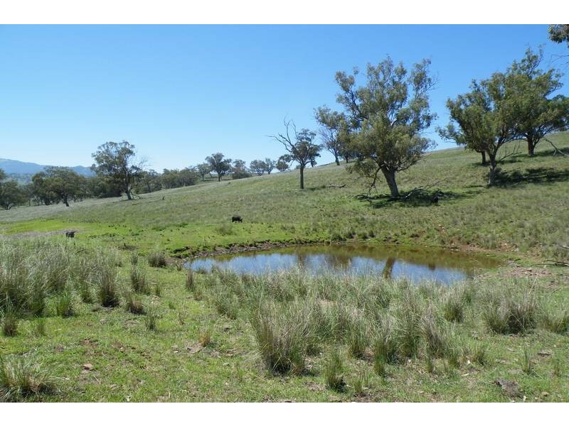 141 Borambil Creek Road, Willow Tree NSW 2339