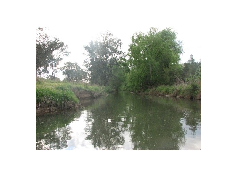 322 Wallabadah Road, Wallabadah NSW 2343