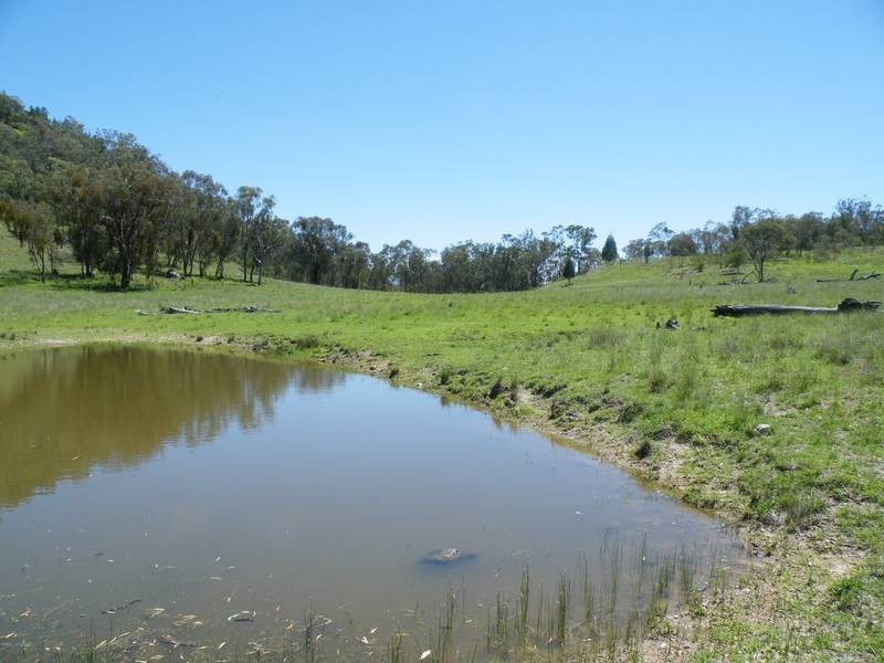 322 Wallabadah Road, Wallabadah NSW 2343