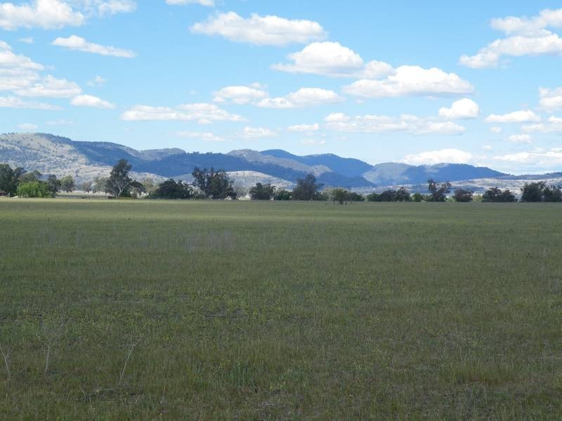 Lot 152, 16 East Street, Quirindi NSW 2343