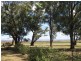 579 Inverkip Road, Quirindi NSW 2343