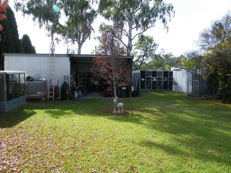 51 Nowland Street, Quirindi NSW 2343