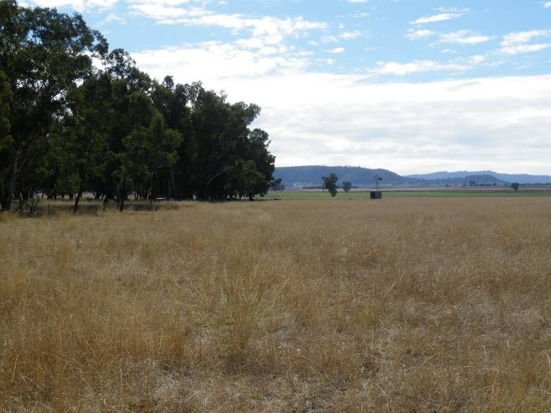 2 Gap Road, Werris Creek NSW 2341